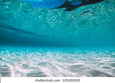 Tropical blue ocean with white sand underwater in Hawaii - Shutterstock ID 1351053245