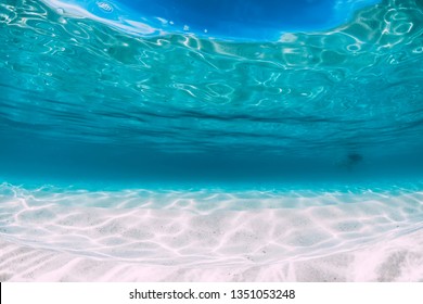 Tropical blue ocean with white sand underwater in Hawaii - Shutterstock ID 1351053248