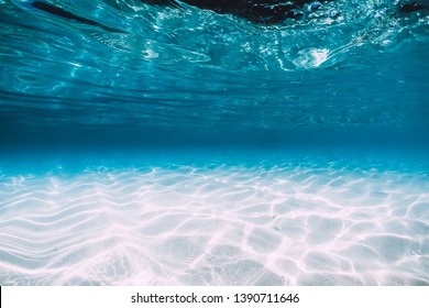Tropical blue ocean with white sand underwater in Hawaii - Shutterstock ID 1390711646