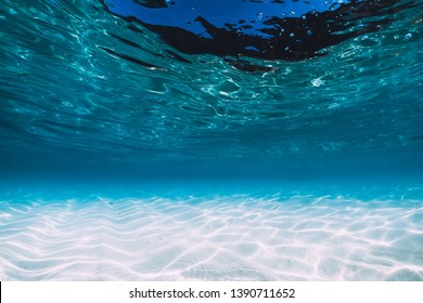 Tropical blue ocean with white sand underwater in Hawaii - Shutterstock ID 1390711652