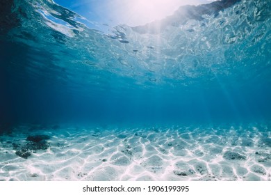 Тропический синий океан с белым песком и камнями под водой на Гавайях. Океанский фон