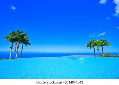 windows xp background with 3 palm trees