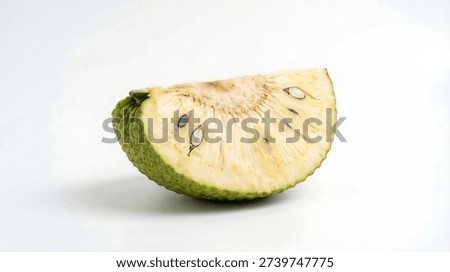 Tropical breadfruit segment cut isolated on white background