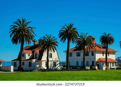 Tropical bungalow style homes or house with front yard palm trees and blue copy space sky with front yard lawn. Late afternoon sun with white cement exteriors and red roof tiles island neighborhood. - Powered by Shutterstock