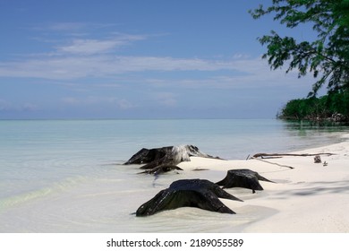 Tropical Caribbean Island Landscape Photography