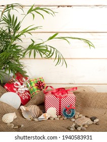 Tropical Christmas Still Life With Gifts And Sea Shells Against White Shiplap Background With Copy Space