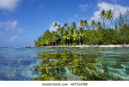 Tropische Küste mit Kokospalmen von der Wasseroberfläche aus gesehen, Huahinininsel, Pazifischer Ozean, Französisch-Polynesien