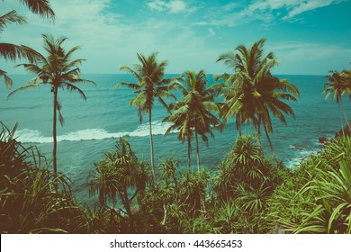 Tropical Coast With Palm Trees Above The Ocean, Vintage Toned