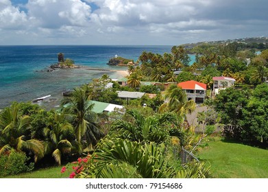 Tropical Coastline Of Saint Vincent Island