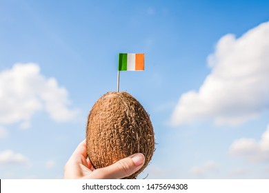 Tropical Coconut With Italy Flag On The Toothpick In Female Hands. Italian Tourist On Vacation.  Travel Concept.