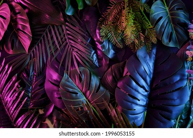 113,902 Dark tropical leaf jungle background Images, Stock Photos ...