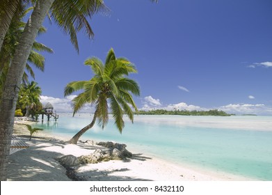 Tropical Dream Beach Paradise Of The South Pacific