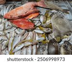 Tropical fishes assorted at the Province Market at Palawan Philipinnes