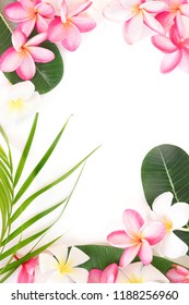 Tropical Floral Modern Border From Palm Leaves And Frangipani Plumeria Flower