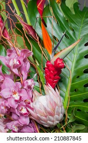 Tropical Flower Arrangement With Orchids Close Up