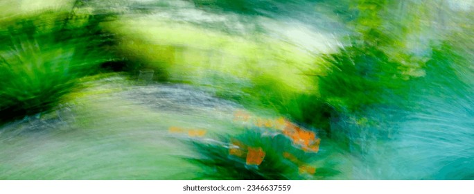 Tropical flower in the rainforest, wild flower, bird of paradise, strelitzia, green and orange vivid colors, intentional movement, picture in motion, abstract