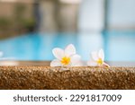 Tropical flowers Frangipani or Plumeria decorate massage parlors and spas in Thailand.