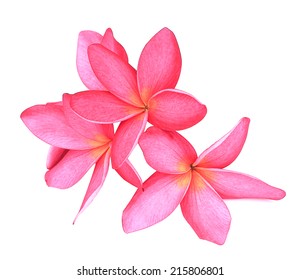 Tropical Flowers Frangipani (plumeria) Isolated On White Background