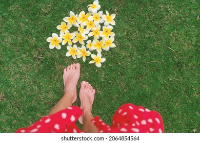 Tropical Flowers Laid On The Ground For Romance Vacation. Woman POV Feet Walking On Green Grass At Fresh Natural Plumeria Petals For Lei Making