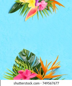 Tropical Flowers On A Blue Background