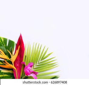 Tropical Flowers On A White Background