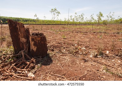 Tropical Forest Deforestation Due To Farming And Increase In Agricultural Mechanization Asia
