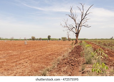 Tropical Forest Deforestation Due To Farming And Increase In Agricultural Mechanization Asia
