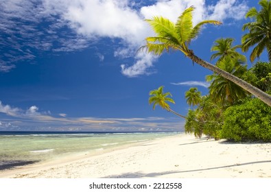 Tropical Forest On The Island Gan In  Indian Ocean, Maldives