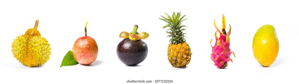 Tropical Fruit Collage Isolated On White Background