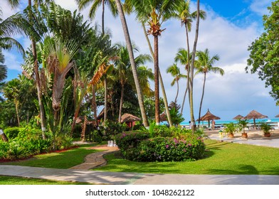 Tropical Garden At A Luxury Carribean Holiday Resort