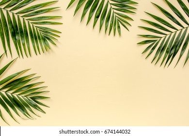 Tropical green palm leaf branches isolated on yellow background. the apartment lay, top view
