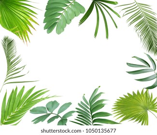 Watercolor Frame Colorful Tropical Leaves Concept Stock Illustration ...