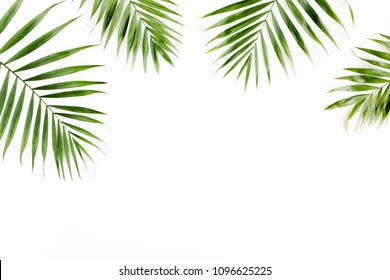 Tropical Green Palm Leaves On White Background. Flat Lay, Top View