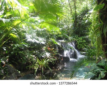 Tropical greenery with a small waterfall on a sunny day