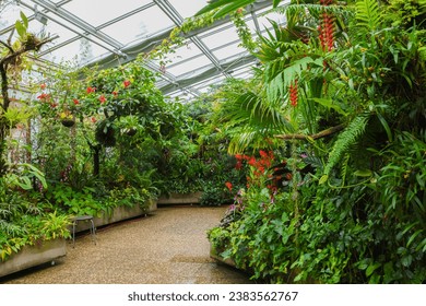 Tropical greenhouse in the Botanical Garden Hannover, Germany
