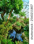 Tropical Greenhouse Pond Reflections in Cincinnati Conservatory Eye Level View