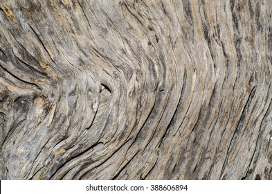 Tropical hardwood and textured background / Abstract background / Mankind most valuable and sustainable resources