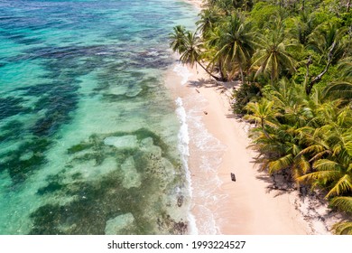 Tropical Island Aerial View. Wild coastline lush exotic green jungle. Red Frog Beach in Bastimentos Island, Bocas del Toro, Central America, Panama. - Powered by Shutterstock