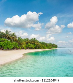 Tropical Island Beach. Palm Trees. Turquoise Water. Blue Sky