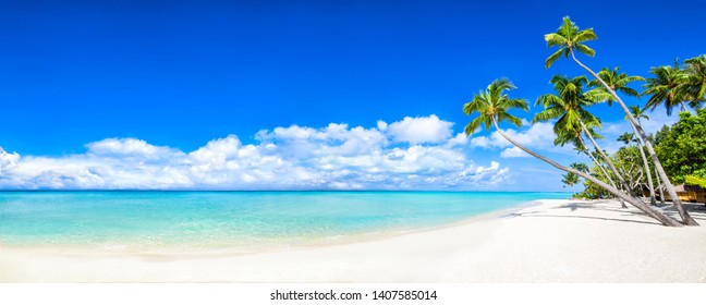 Tropical island with beautiful beach and palm trees as panorama background