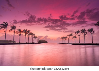 Tropical Island Palm Tree Sunrise in Miami Florida with foreground interest smooth water and vibrant colors and clouds in sky