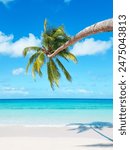 Tropical island paradise beach, green coconut palm tree leaf, sand, blue sea water turquoise ocean, sun sky white cloud, beautiful landscape. summer background and  summer holiday concept.