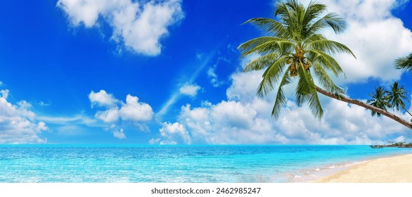 Tropical island paradise sea beach, ocean water, green coconut palm tree leaves, sand, sun blue sky cloud, beautiful nature panorama landscape, Caribbean, Maldives, Thailand, summer holidays, vacation - Powered by Shutterstock