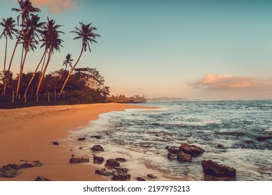Tropical Island Sand Beach Ocean Landscape. Coconut Palm Trees, Waves On Sea And Sunset Sky. Amazing Natural Summer Scenery. Nature Background. Vacation Travel Holiday. Instagram Vintage Tone Filter