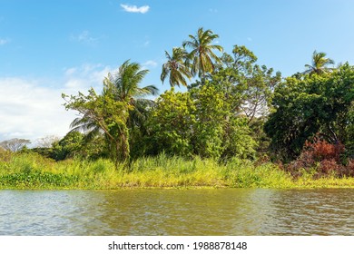 Tropical Islands Famous For Bird Watching Known As Isletas In The Nicaragua Lake Near Granada City, Nicaragua.