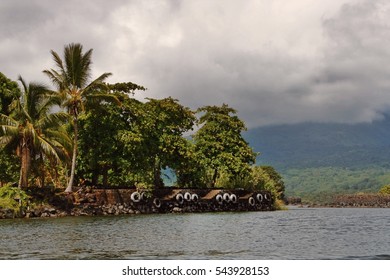 Tropical Islet On Lake Nicaragua