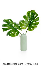Tropical jungle leaf in green vase isolated on white background