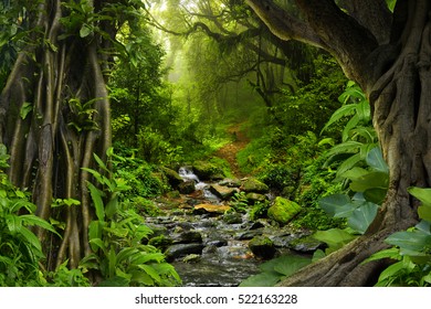 Tropical jungle with river - Shutterstock ID 522163228