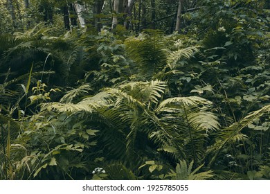 Tropical Jungles Of Oslo, Norway