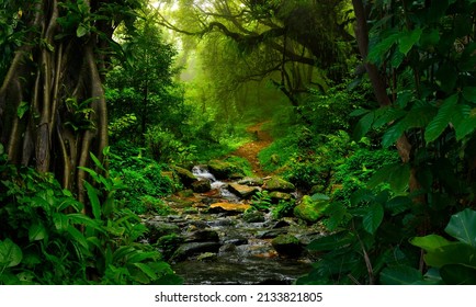 Tropical jungles  of Southeast Asia - Shutterstock ID 2133821805